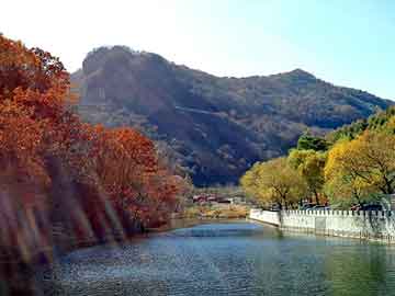 新澳天天开奖资料大全旅游团，变性小说